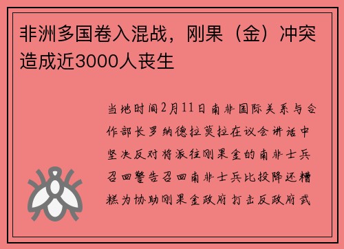 非洲多国卷入混战，刚果（金）冲突造成近3000人丧生